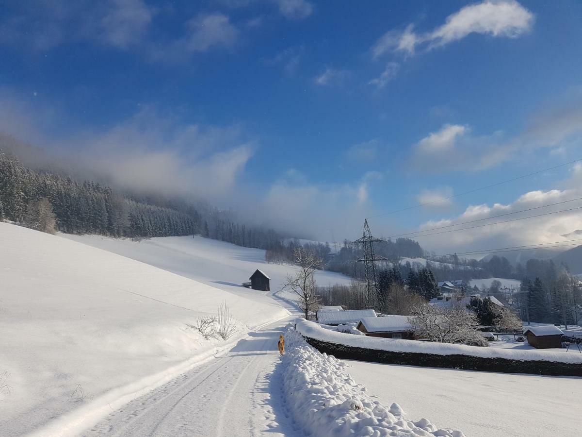 Bed and Breakfast Haus Metzler Spital am Semmering Exterior foto