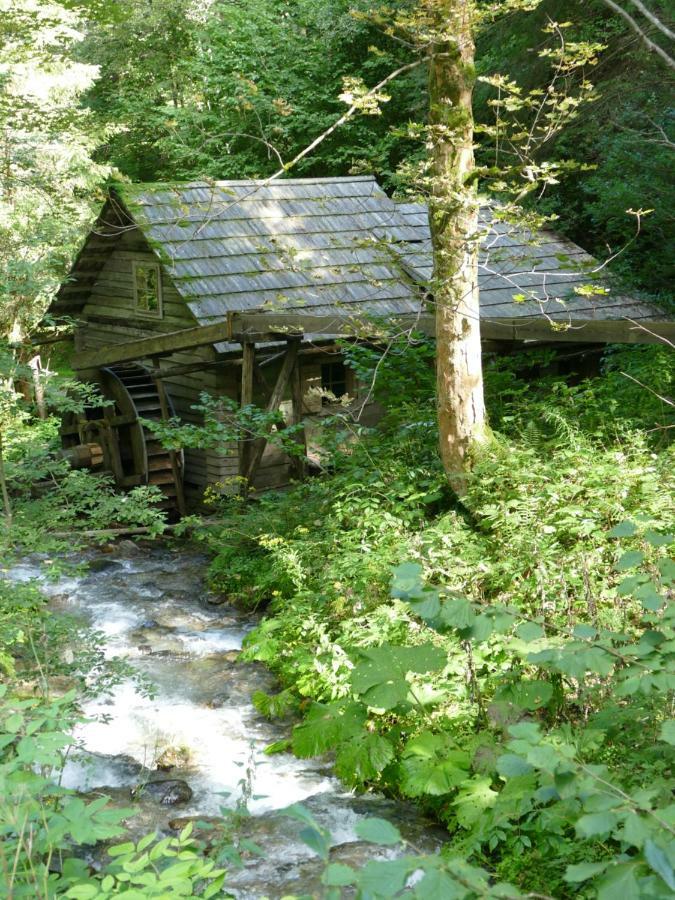 Bed and Breakfast Haus Metzler Spital am Semmering Exterior foto