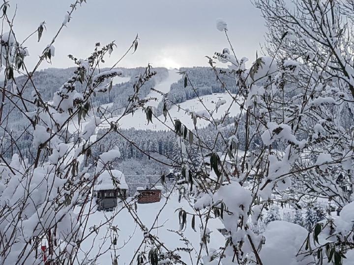 Bed and Breakfast Haus Metzler Spital am Semmering Exterior foto